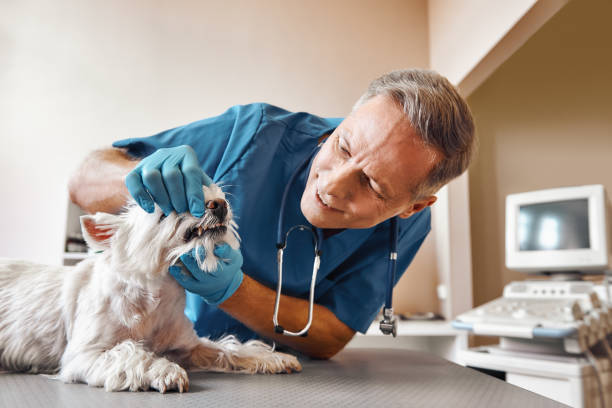 Best Dental Abscess Treatment in Goodland, KS